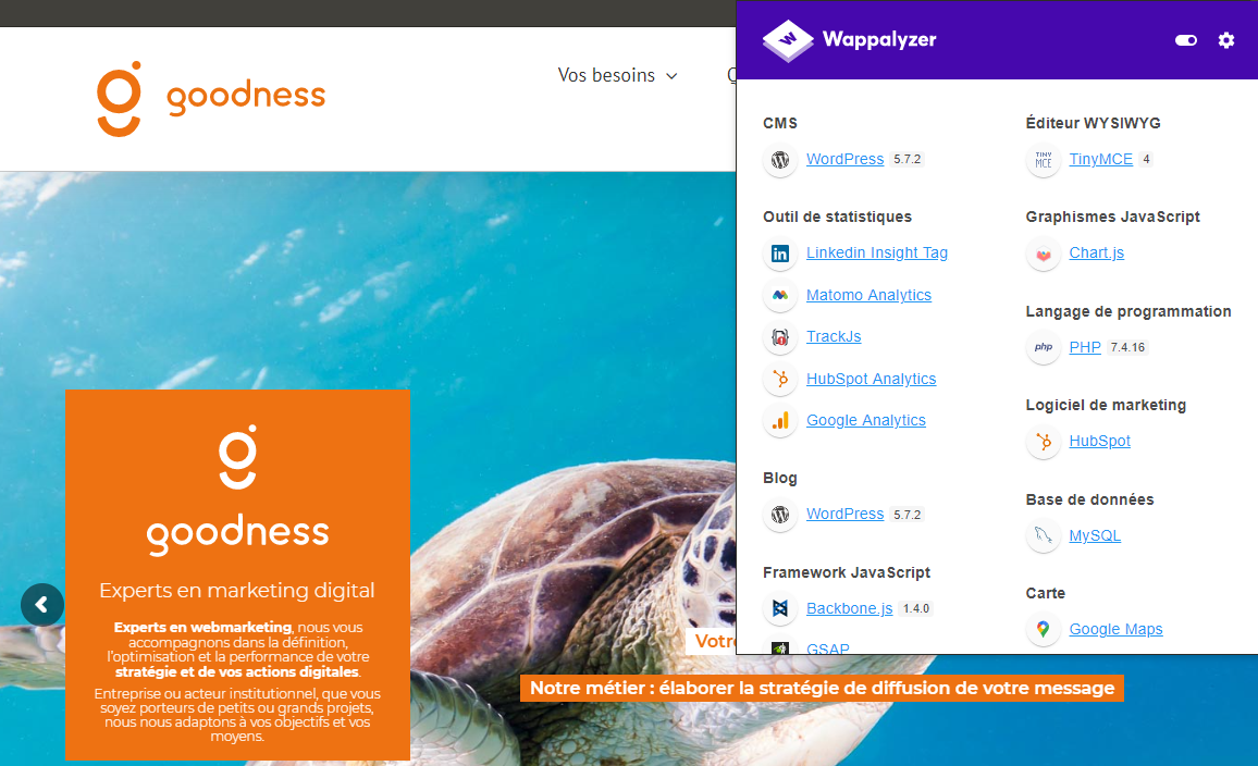 Goodness - Qualité web - Quelques outils pour vos audits - wapalyzer