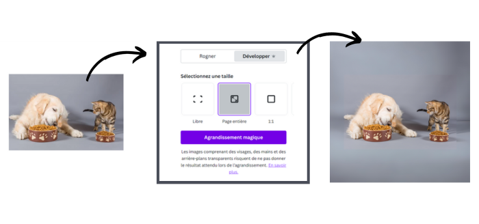 Agrandissement magique de Canva