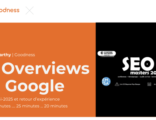 Google AI Overviews SEO Masters juin 2025