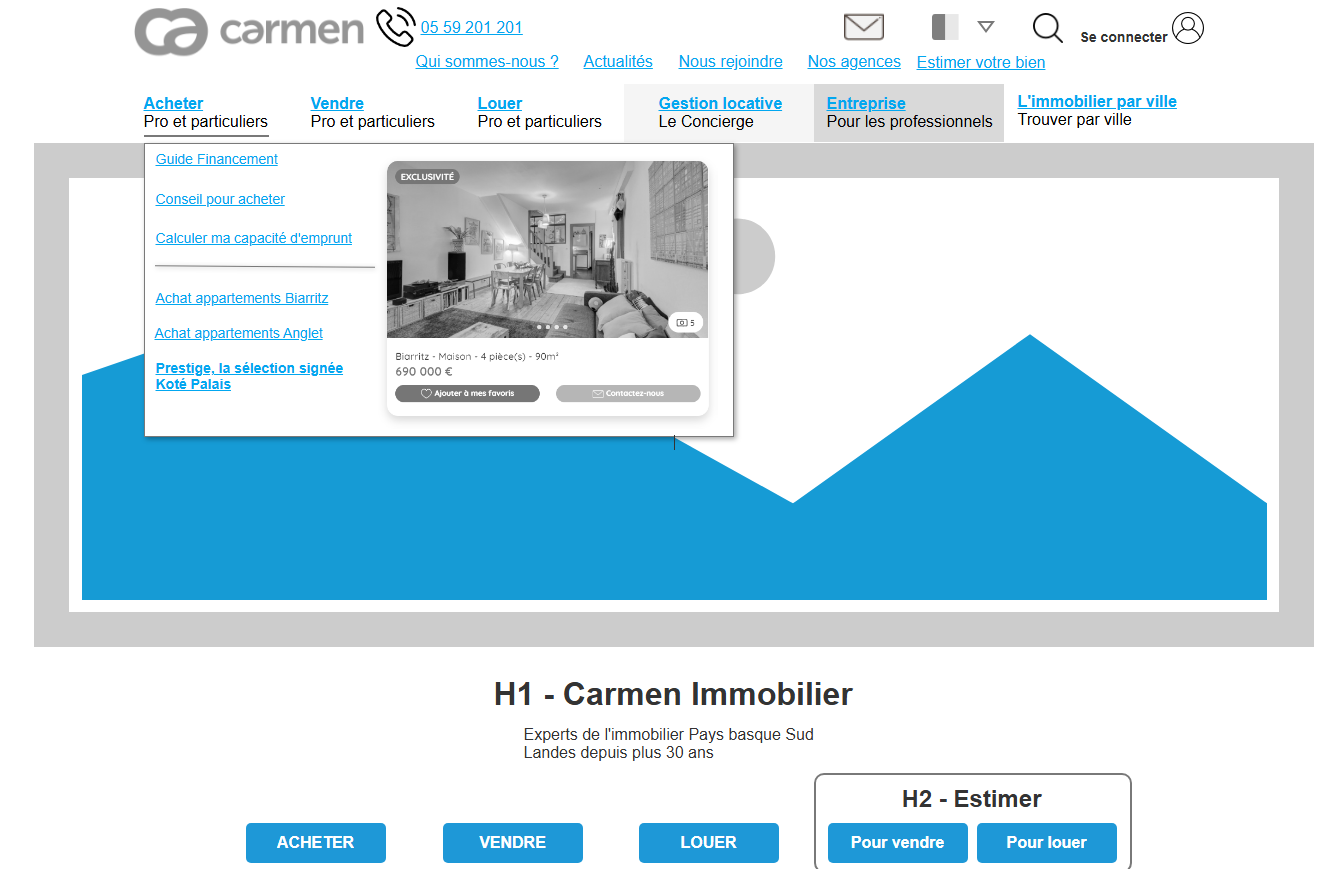 Zonings pour la création d’un site web Zonings pour la création d'un site web