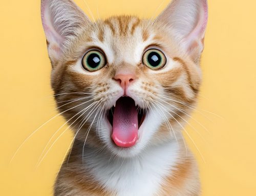 Les actualités du Marketing Digital du mois d’octobre 2025