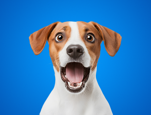 Les actualités du Marketing Digital du mois de novembre 2025