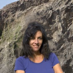 Sandra 2026