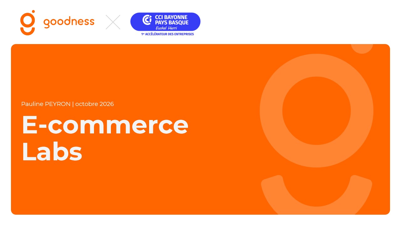 Présentation E-commerce Labs 2026